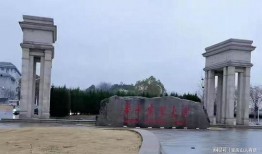 华中农大最新爆料,重大科研成果引发行业关注