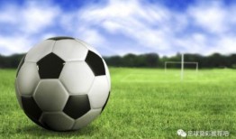 波兰足球爆料视频大全最新,揭秘最新赛事精彩瞬间与幕后故事